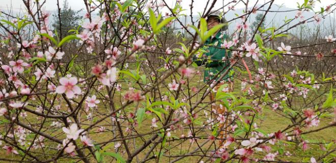 Tin tức 24h: Lời khai sốc của ‘tú bà’ xinh đẹp điều hành đường dây bán dâm 6 triệu đồng/giờ - 2