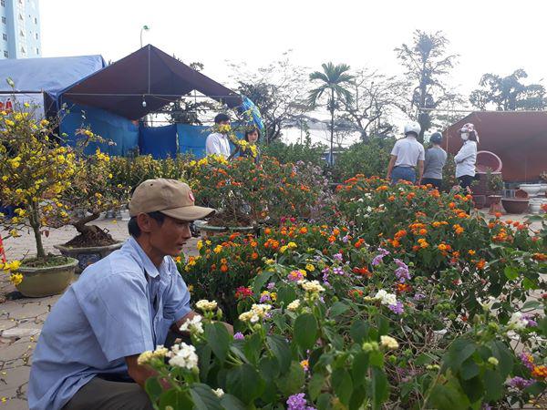 doc la: tu bo bui, hoa ngu sac thanh bonsai trinh lang tet - 7