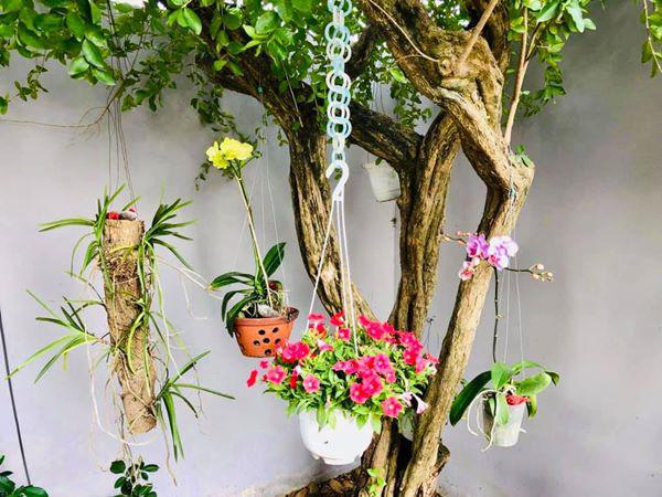 Đón Tết đầu tiên trong căn nhà triệu đô cùng mẹ, Ốc Thanh Vân nghẹn ngào vì nhớ bố - 9