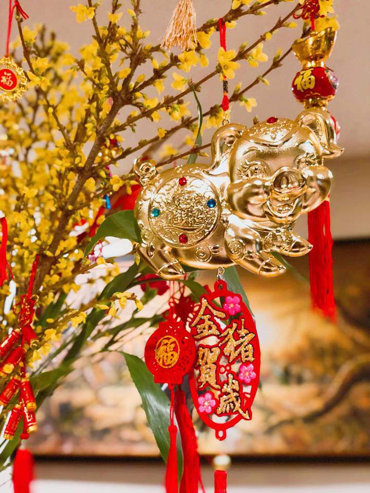 Thèm không khí Tết quê, mẹ Việt ở Mỹ vẫn cố gắng trang trí nhà, đón năm mới xứ người - 3