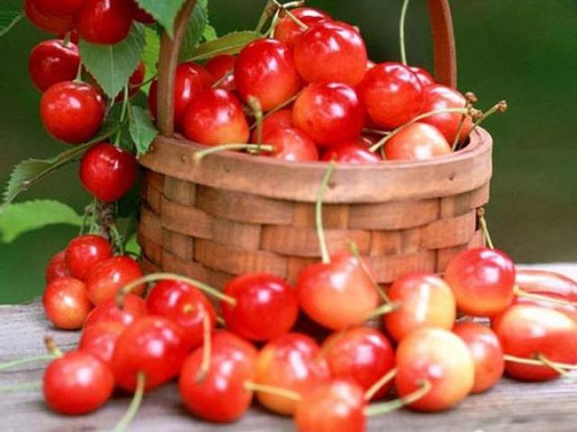 Người phụ nữ đi vệ sinh ra máu 20 lần trong 1 đêm vì loại quả ngọt nhiều người thích