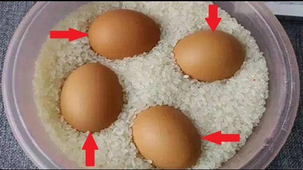 Đặt trứng vào thùng gạo có tác dụng thần kì, 99% chị em không biết - 1