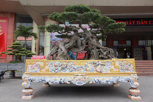 sanh co &#34;ngọa hỏ tàng long&#34; giá hon 32 tỷ dòng cua dai gia phu tho - 1