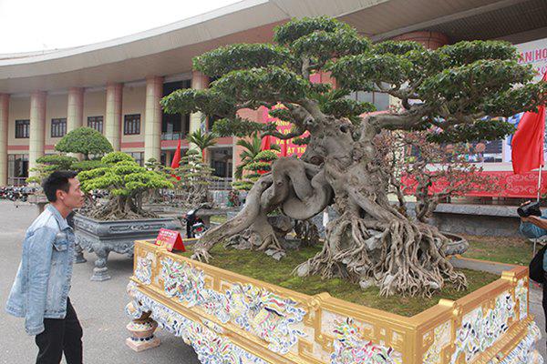 sanh co &#34;ngọa hỏ tàng long&#34; giá hon 32 tỷ dòng cua dai gia phu tho - 13