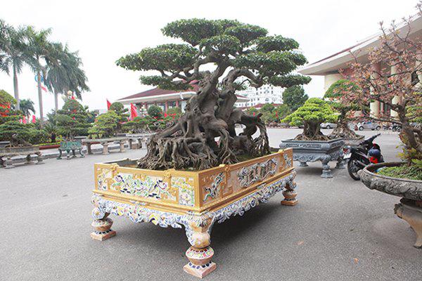 sanh co &#34;ngọa hỏ tàng long&#34; giá hon 32 tỷ dòng cua dai gia phu tho - 14