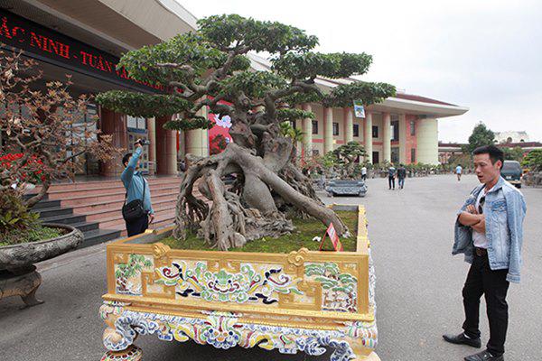 sanh co &#34;ngọa hỏ tàng long&#34; giá hon 32 tỷ dòng cua dai gia phu tho - 2