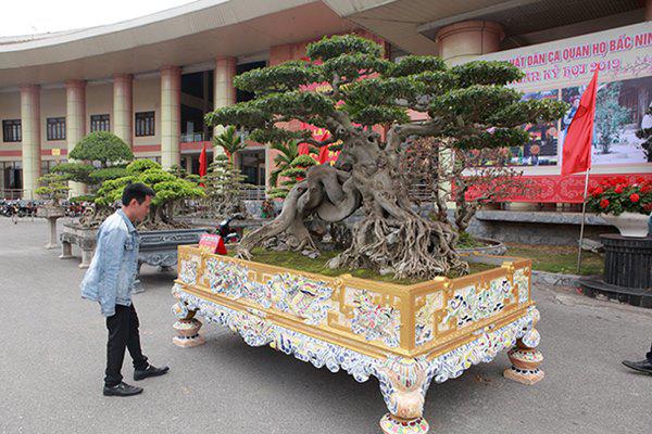 sanh co &#34;ngọa hỏ tàng long&#34; giá hon 32 tỷ dòng cua dai gia phu tho - 3