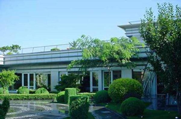 Vương Diễm: Nàng amp;#34;Tình Nhi Cách Cáchamp;#34; chịu khổ vì mải miết chạy theo một chữ tình - 11