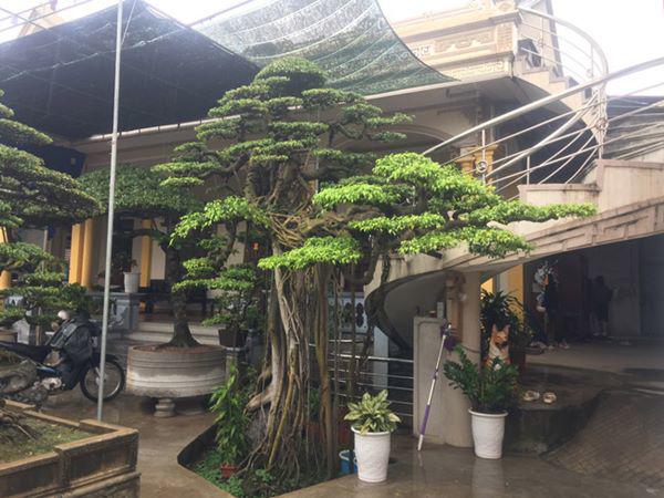 chiem nguong vu dieu “cong mua, hac chau” duọc dại gia me mản trả giá hon 2 tỷ dòng - 1