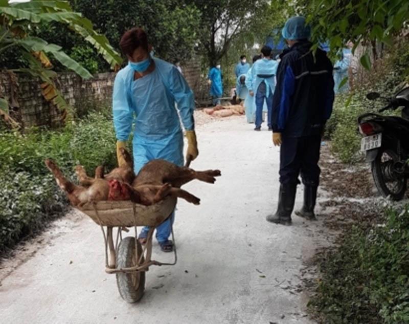 Tin tức 24h: Cuộc điện thoại giúp lần ra manh mối vụ nữ sinh giao gà bị sát hại - 2