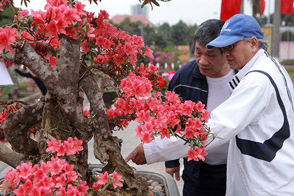 ngam nhin &#34;nu hoang quyen&#34; co thu co gia gan ty dong - 5