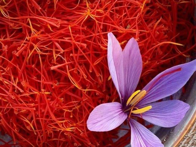 Nhụy hoa nghệ tây giá nửa tỷ/kg chị em vẫn tranh nhau mua, sự thực là gì?