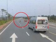 Clip Eva - Người đàn ông rượt đuổi bò trên cao tốc Hà Nội - Hải Phòng khiến tài xế thót tim