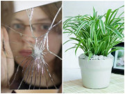 Nhà đẹp - 5 thay đổi phong thủy giúp gia chủ hút lộc, giải trừ vận đen sau một đêm