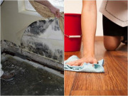 Nhà đẹp - Mẹo cực hay giúp nhà cửa luôn khô ráo trong những ngày trời nồm ẩm