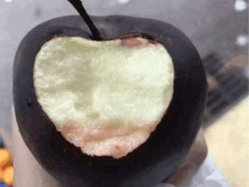 Táo đen siêu giòn ngon 500 nghìn/quả nhưng nông dân không ai dám trồng vì lý do này