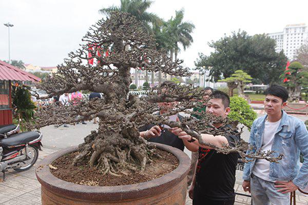 ngam tuyet pham mai chieu thuy tien ty khien gioi choi cay cung phai tram tro - 2