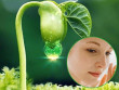Giải pháp làm mờ nám da nhờ viên phôi mầm đậu nành SoyNa