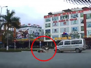 Clip Eva - Sang đường bất cẩn, người phụ nữ bị ô tô hất văng xuống đường