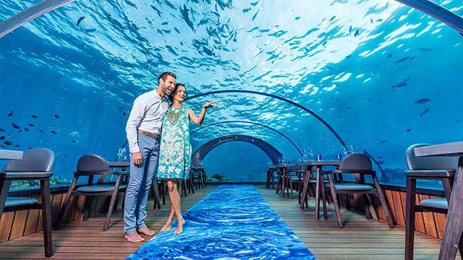 Chi cả tỉ đồng để “qua đêm” với... cá trong những khách sạn dưới biển đẹp nhất hành tinh - 10