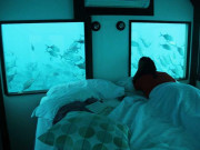 Xem ăn chơi - Chi cả tỉ đồng để “qua đêm” với... cá trong những khách sạn dưới biển đẹp nhất hành tinh