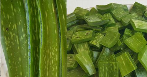 Đây là 2 lọ hỗn hợp làm chị em phát cuồng tốt cho mọi loại da - 2