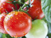 Bếp Eva - 6 cách ăn cà chua có hại cho sức khỏe cần tránh