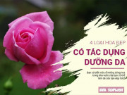 Làm đẹp - Top 4 loại hoa tốt nhất để vừa làm đẹp nhà, vừa dưỡng đẹp da