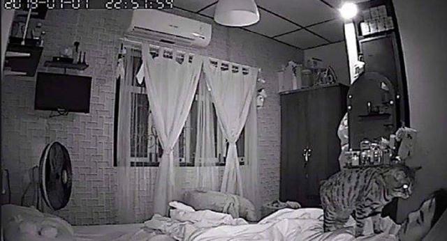 Sáng nào thức dậy cũng bị tức ngực, chàng trai lắp camera phát hiện sự thật không tưởng - 1