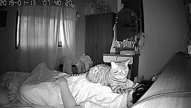 Sáng nào thức dậy cũng bị tức ngực, chàng trai lắp camera phát hiện sự thật không tưởng - 3