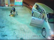 Clip Eva - Chú chó bị điện giật ngã lăn ra đường, cẩu tặc đi ô tô nhanh chóng ôm "hàng" bỏ chạy