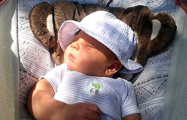 Sai lầm kinh điển của mẹ Việt khi bổ sung vitamin D khiến con thấp còi - 3