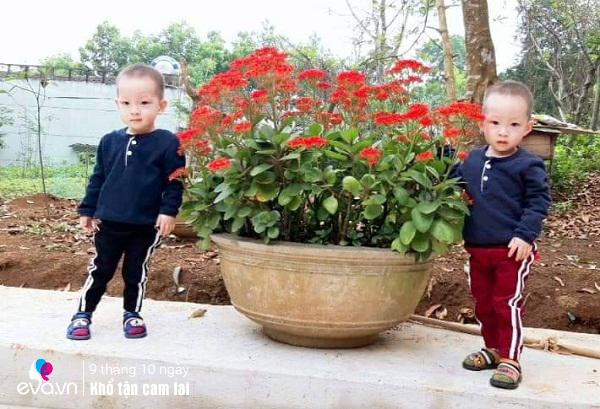 Nghén giả vì mong con, thai 23 tuần mẹ Thanh Hóa nghẹn lòng nhìn chồng gục bên phòng cấp cứu - 4