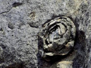 Lifestyle - Cảnh tượng đá nở hoa có 1-0-2 tại Trung Quốc