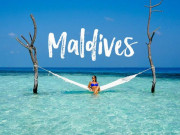 Xem ăn chơi - Vui đùa cùng cá mập tại quốc đảo Maldives