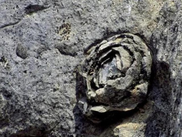 Cảnh tượng đá nở hoa có 1-0-2 tại Trung Quốc