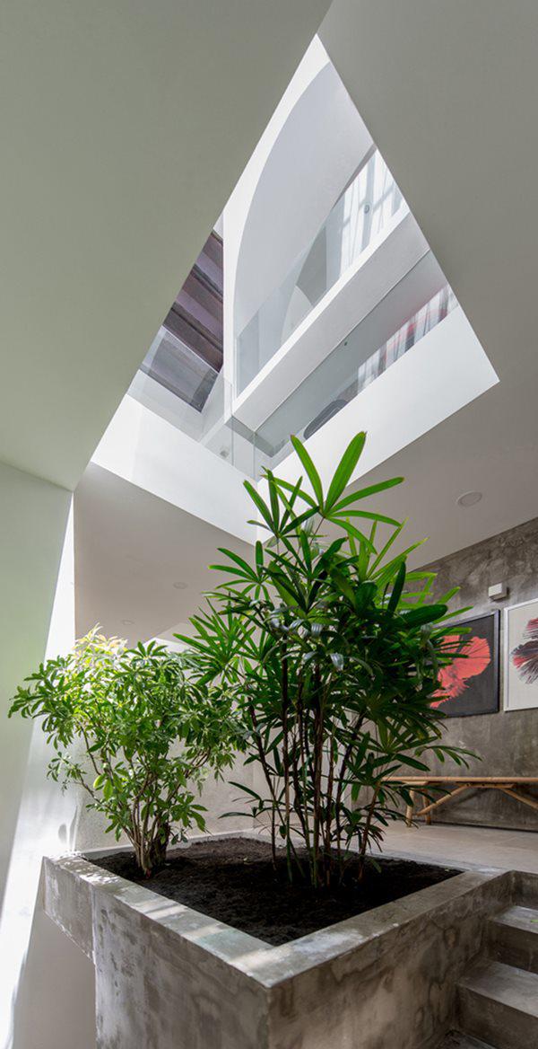 Kiến trúc sư Việt tự thiết kế nhà mình khiến báo tây cũng tấm tắc khen - 7