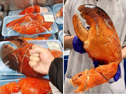 Bếp Eva - Càng tôm hùm “hai tay ôm không xuể” 200.000/kg tràn lan siêu thị, dân tình rần rần rủ nhau ăn