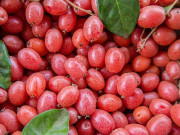 Sức khỏe - Trị giun sán không cần dùng thuốc, bạn có thể sử dụng những nguyên liệu rẻ tiền này