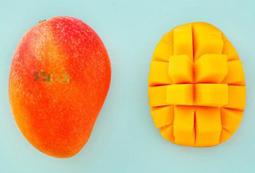 Tin tức 24h: Nhóm nghi phạm vụ nữ sinh giao gà ở Điện Biên đã amp;#39;tung hoả mùamp;#39; thế nào? - 3