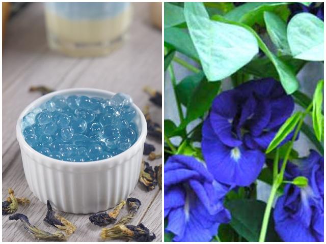 Sự thật về thần dược đậu biếc chữa được cả ung thư, chị em dùng trong cả nấu nướng