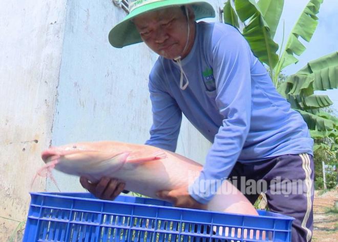 Tin tức 24h: Mẹ nữ sinh giao gà kể cảm giác khi vợ nghi phạm Công đến nhà thắp hương - 3