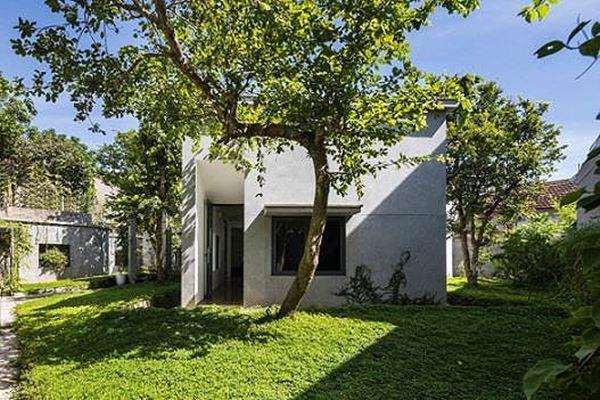 Ngôi nhà độc đáo amp;#39;nuốtamp;#39; trọn 5 cây gỗ quý ở Nghệ An lên báo Tây - 3