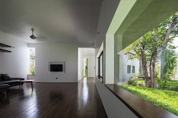 Ngôi nhà độc đáo amp;#39;nuốtamp;#39; trọn 5 cây gỗ quý ở Nghệ An lên báo Tây - 5