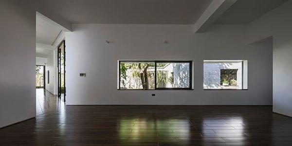 Ngôi nhà độc đáo amp;#39;nuốtamp;#39; trọn 5 cây gỗ quý ở Nghệ An lên báo Tây - 6