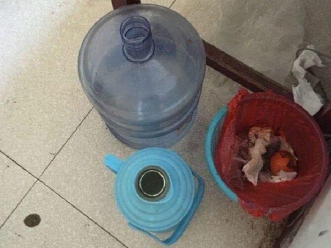 Rùng mình với căn phòng bừa bộn của cô gái đến nỗi nấm mọc thành cây trong chậu quần áo - 2