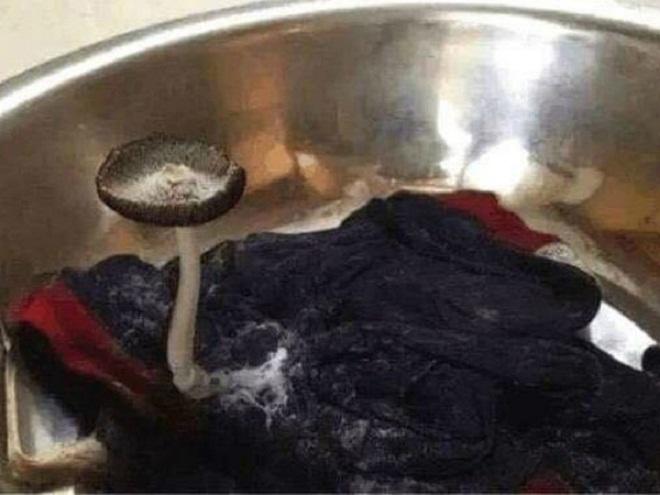 Rùng mình với căn phòng bừa bộn của cô gái đến nỗi nấm mọc thành cây trong chậu quần áo - 4