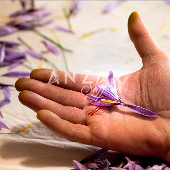 3 cau hoi giup ban chac chan mua duoc loai saffron thuong hang - 2