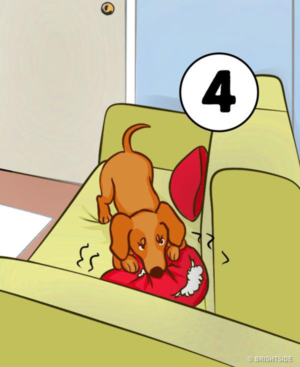 Bạn sẽ làm gì đầu tiên trong tình huống này, bế em bé hay tắt ấm nước sôi? - 5