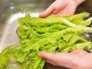 Sức khỏe - 4 sai lầm khi rửa rau hàng triệu người đều nhầm lẫn, sửa ngay kẻo bệnh tật kéo đến